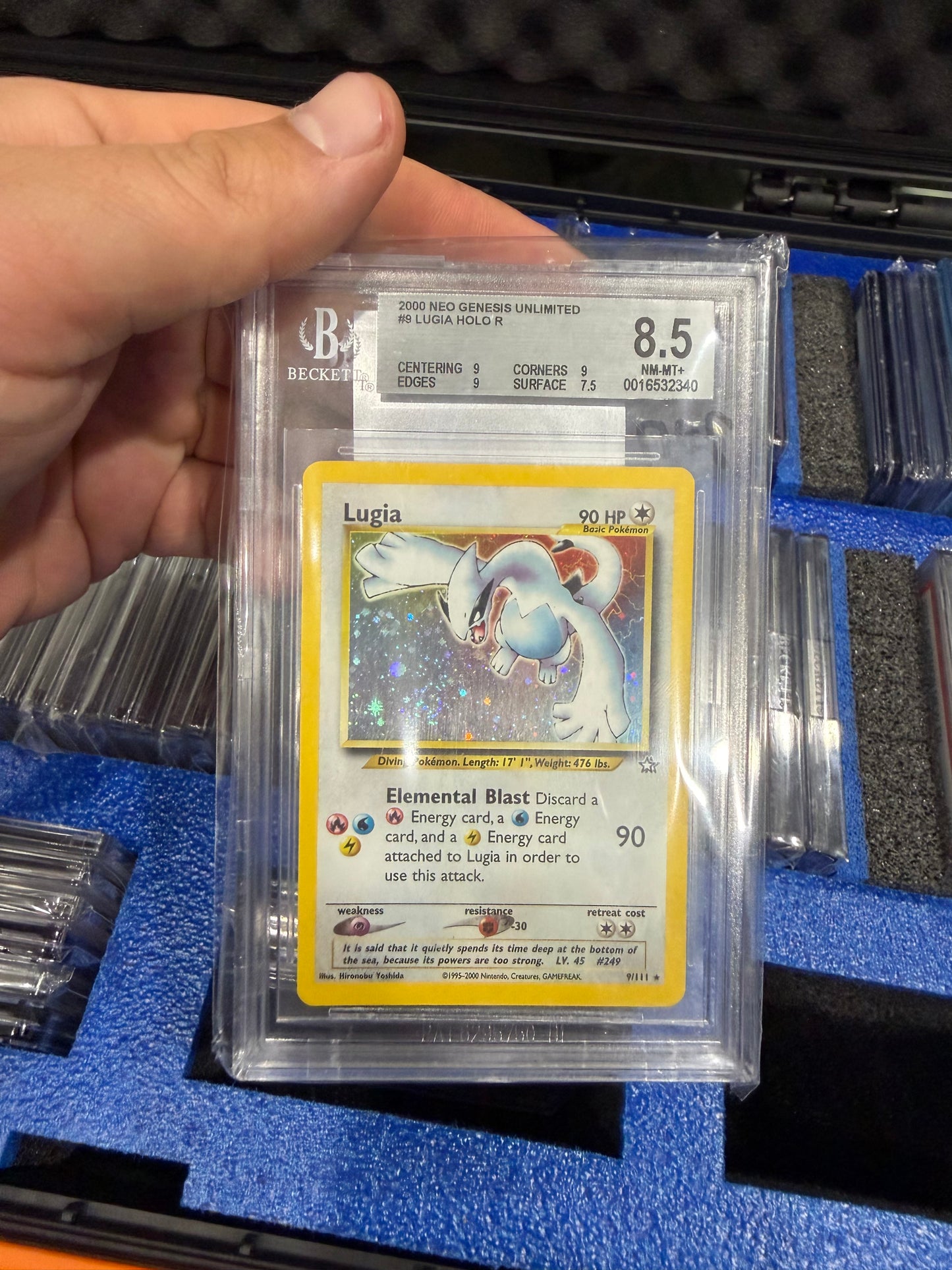 Lugia Holo