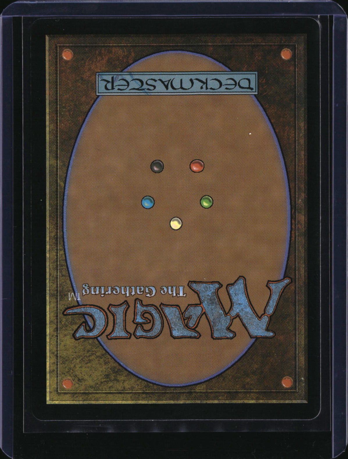 Decadent Dragon — MTG-439 — actual card back