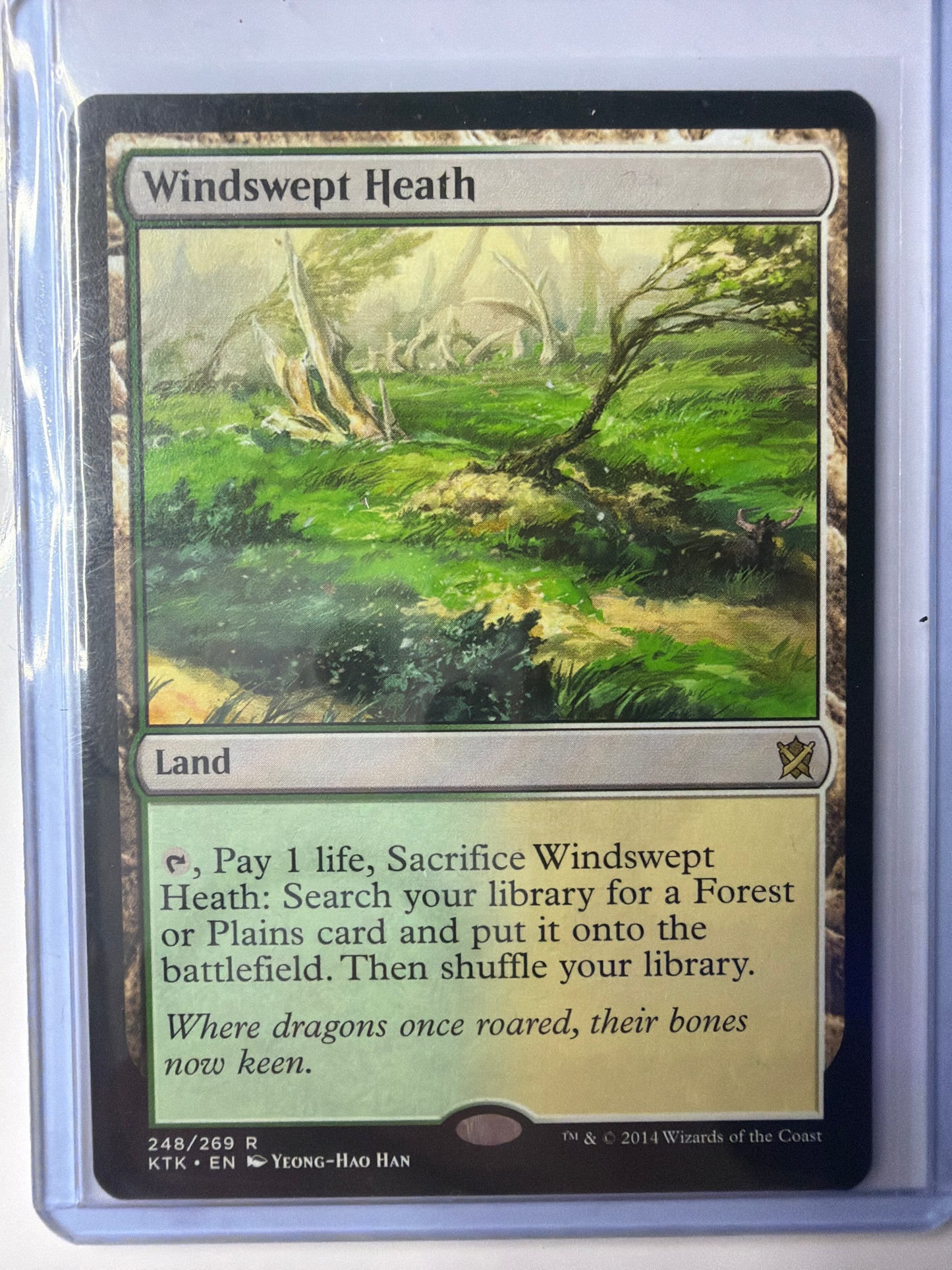 Windswept heath