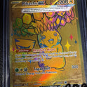 Pikachu Ex Prismatic