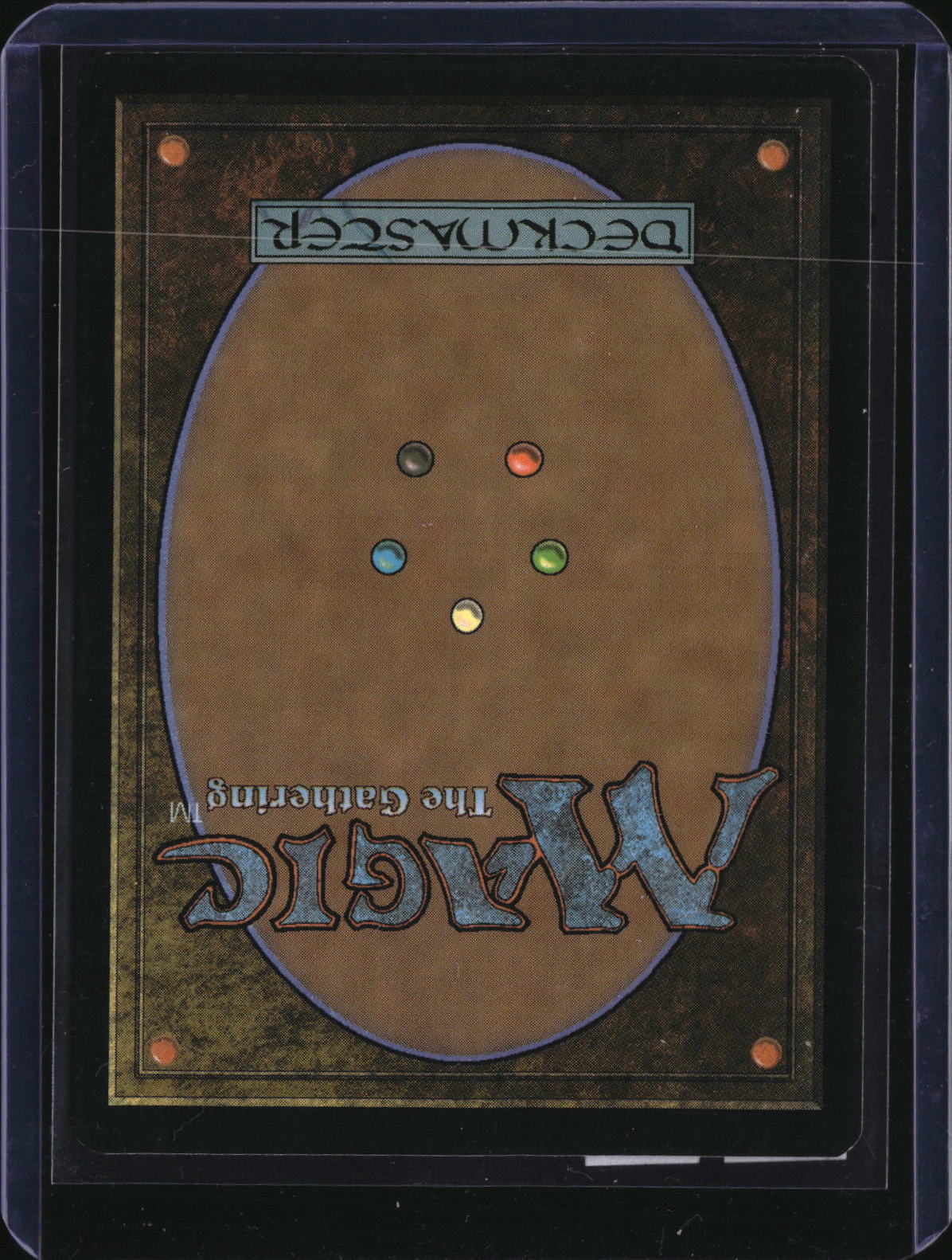Steam Vents — MTG-242 — actual card back