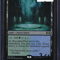 Breeding Pool (Foil) — MTG-366 — actual card front
