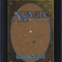 Decadent Dragon — MTG-439 — actual card back