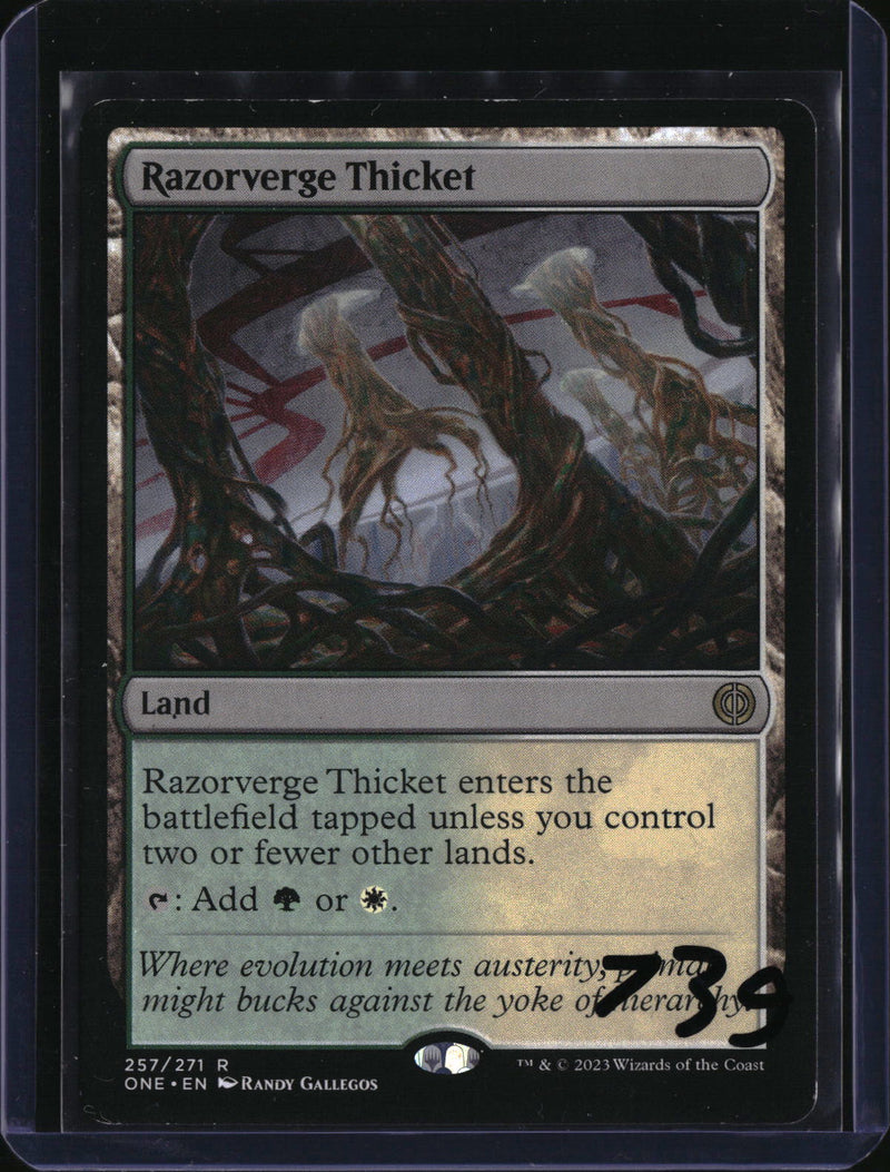 Razorverge Thicket — MTG-739 — actual card front