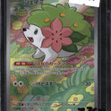 Pokemon Shaymin Japanese, Heat Wave Arena 066/063, SKU 7757, actual front