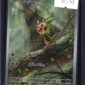 Pokemon Chespin, Chaos Rising 087/086, SKU 7762, actual front