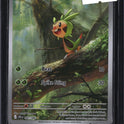 Pokemon Chespin, Chaos Rising 087/086, SKU 7764, actual front
